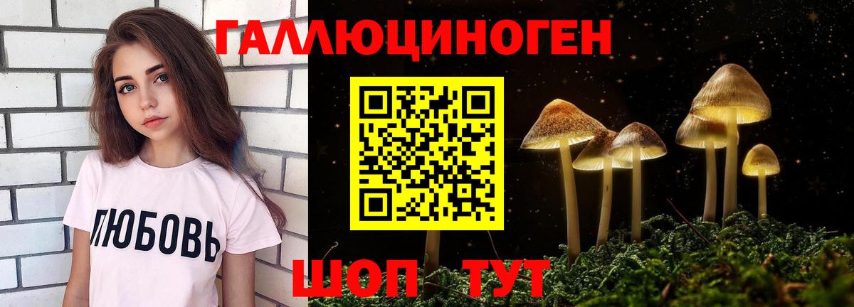 Галлюциногенные грибы Psilocybine cubensis  Вход с VPN  Чернушка  Галлюциногенные грибы Psilocybine cubensis 